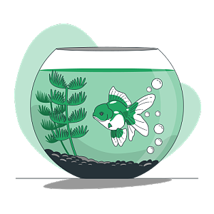 透明玻璃魚(yú)缸里一條金魚(yú)在吐泡泡玩耍