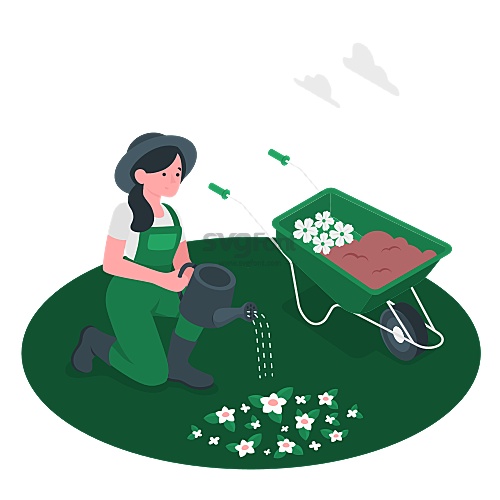 一名园丁在花园里给刚种植的花卉浇水