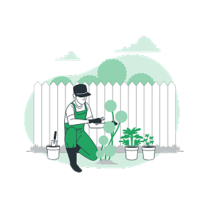 一名园艺师在花园里设计绿植造型