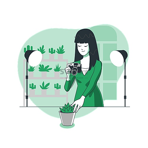 摄影师在聚光灯下给多肉植物拍摄图片