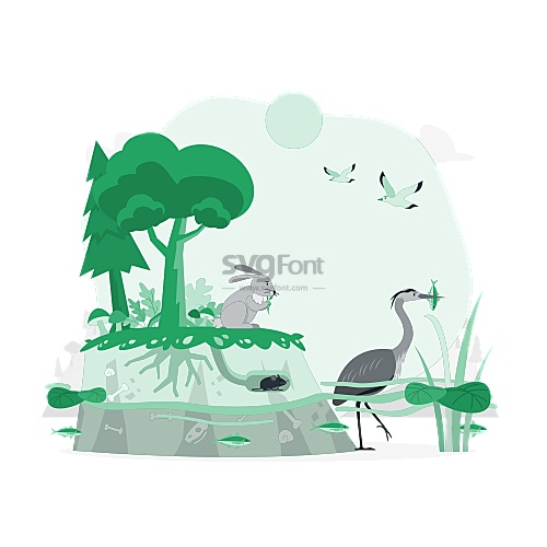 生物书里介绍生态系统构成的一副图